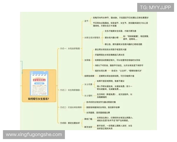 武汉羽毛球队的战术运营体系与羽毛球竞技策略的深度解析