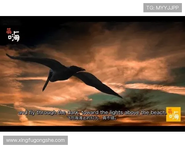 深度对话:杨军在英雄联盟中的成长与挑战之路 深度对话:杨军在英雄联盟中的成长与挑战之路