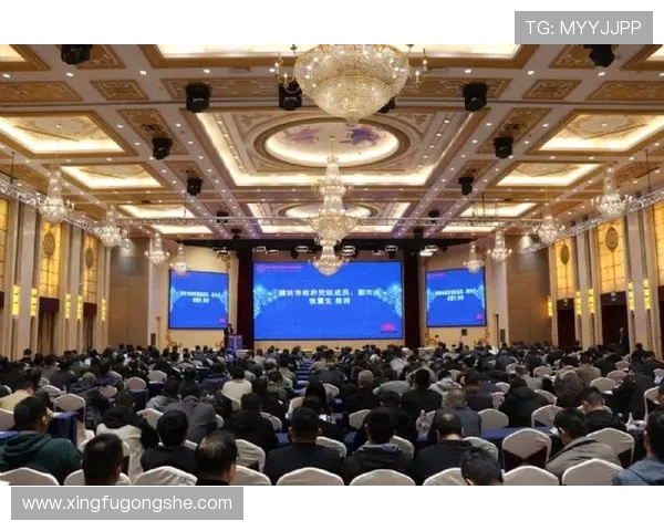 重庆乒乓球队运营模式创新探索助力体育发展新篇章