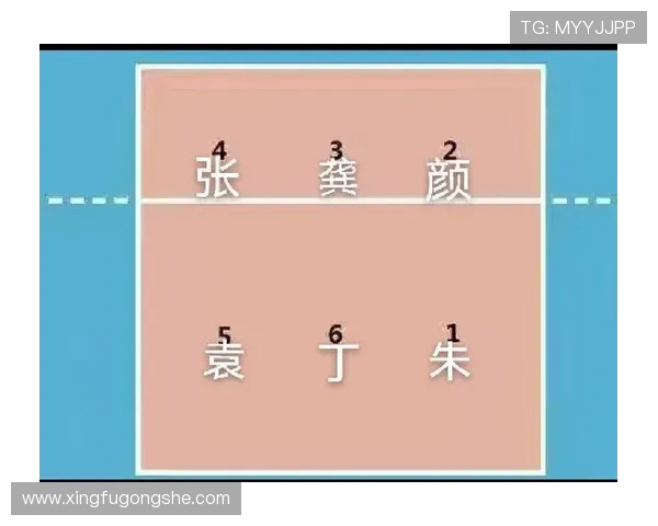 重庆排球队防守策略揭秘深度解析排球技战术与团队协作