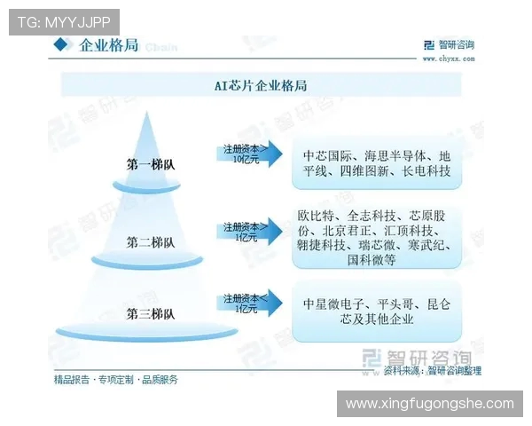 2015年与2016年对比分析：科技进步与社会变革的深刻影响
