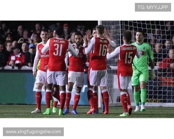 上港与首尔对决阵容分析及比赛前瞻全面解读