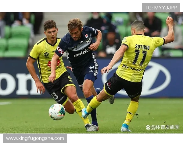 中部海岸与惠灵顿比赛前瞻及比分预测分析 中部海岸与惠灵顿比赛前瞻及比分预测分析