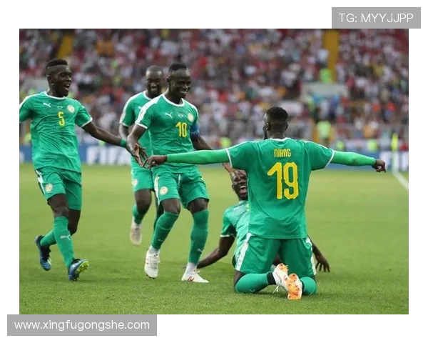 塞内加尔与韩国激战正酣比分揭晓引发热议