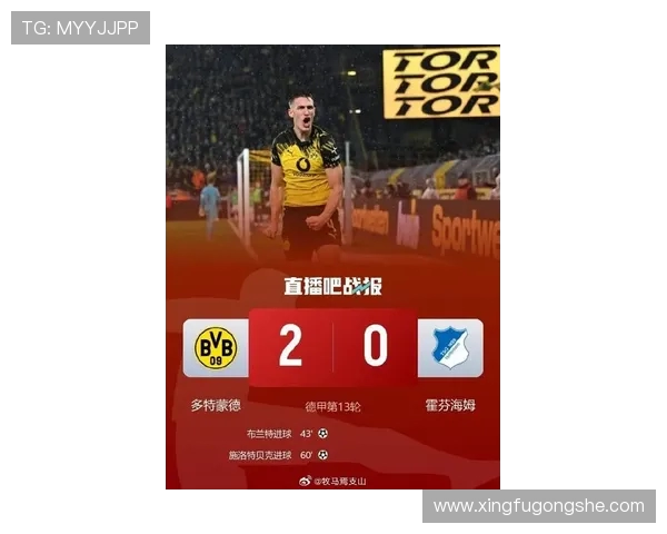 多特蒙德球迷暴力事件引发欧冠禁赛处罚及高额罚款