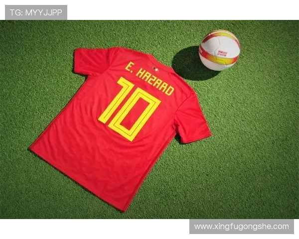 摩洛哥与伊朗比赛体彩投注比例分析及影响因素探讨