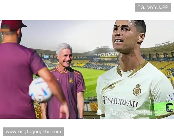 猛龙与勇士激战正酣1月14日精彩对决引发球迷热议