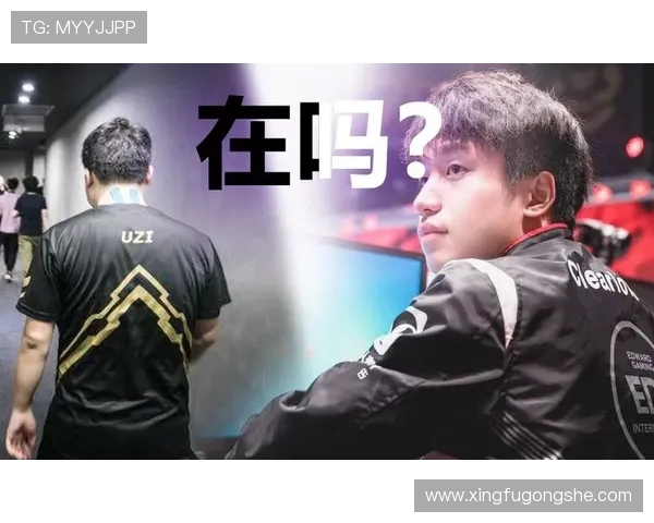 TES战队转型之路揭秘：从巅峰到重生的奋斗与坚持