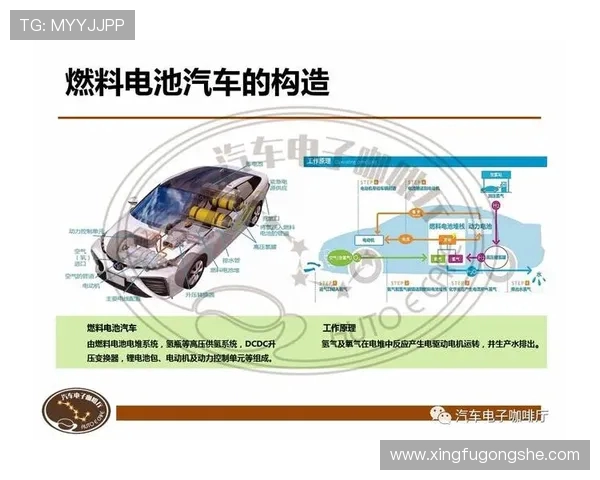 北京极限运动队的控制策略与挑战分析探讨 北京极限运动队的控制策略与挑战分析探讨