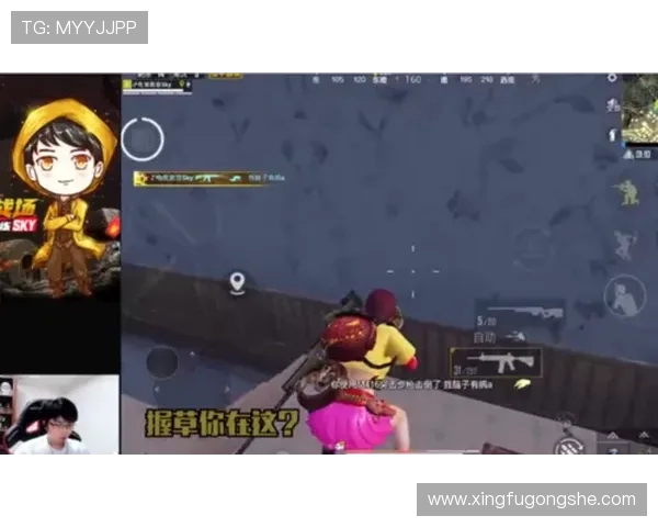 和平精英战术分析：深入探讨FPX战队的进攻策略与表现