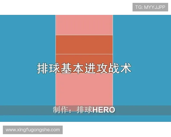 杭州排球队中路突破战术解析与实战应用探讨