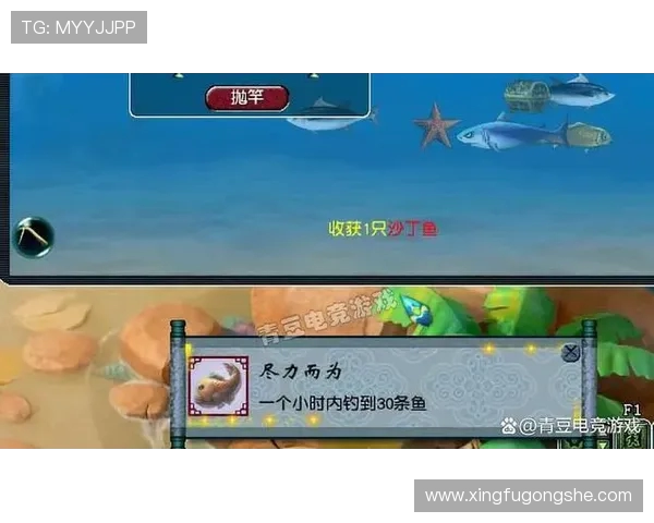 极限运动新手指南从零起步掌握节奏与技巧的全面攻略