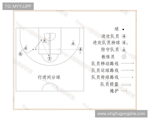 深入分析杭州篮球队的进攻战术与球员配合策略